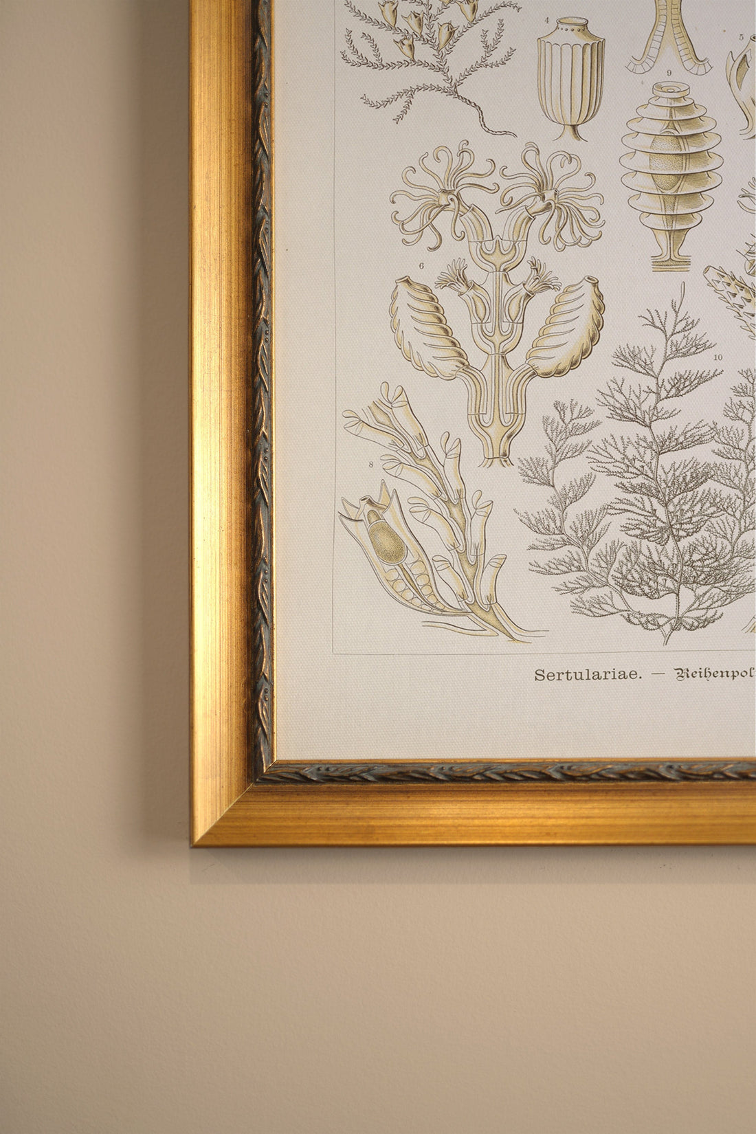 ESSENCE MARINE, Artwork on rigid canvas, framed in Vintage Gold