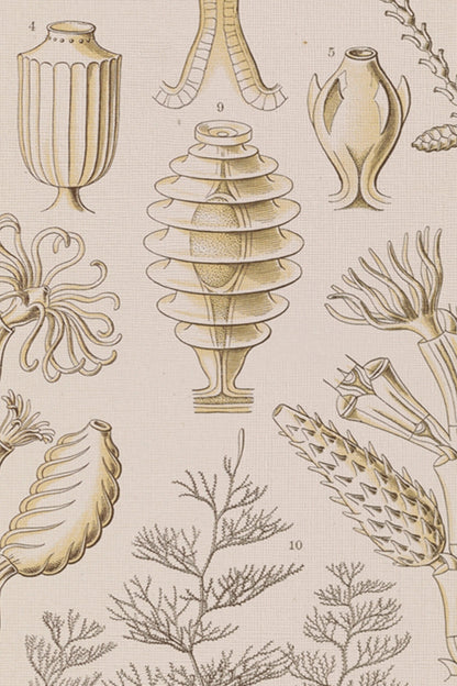 ESSENCE MARINE, Oeuvre sur toile rigide, encadré Vintage Or