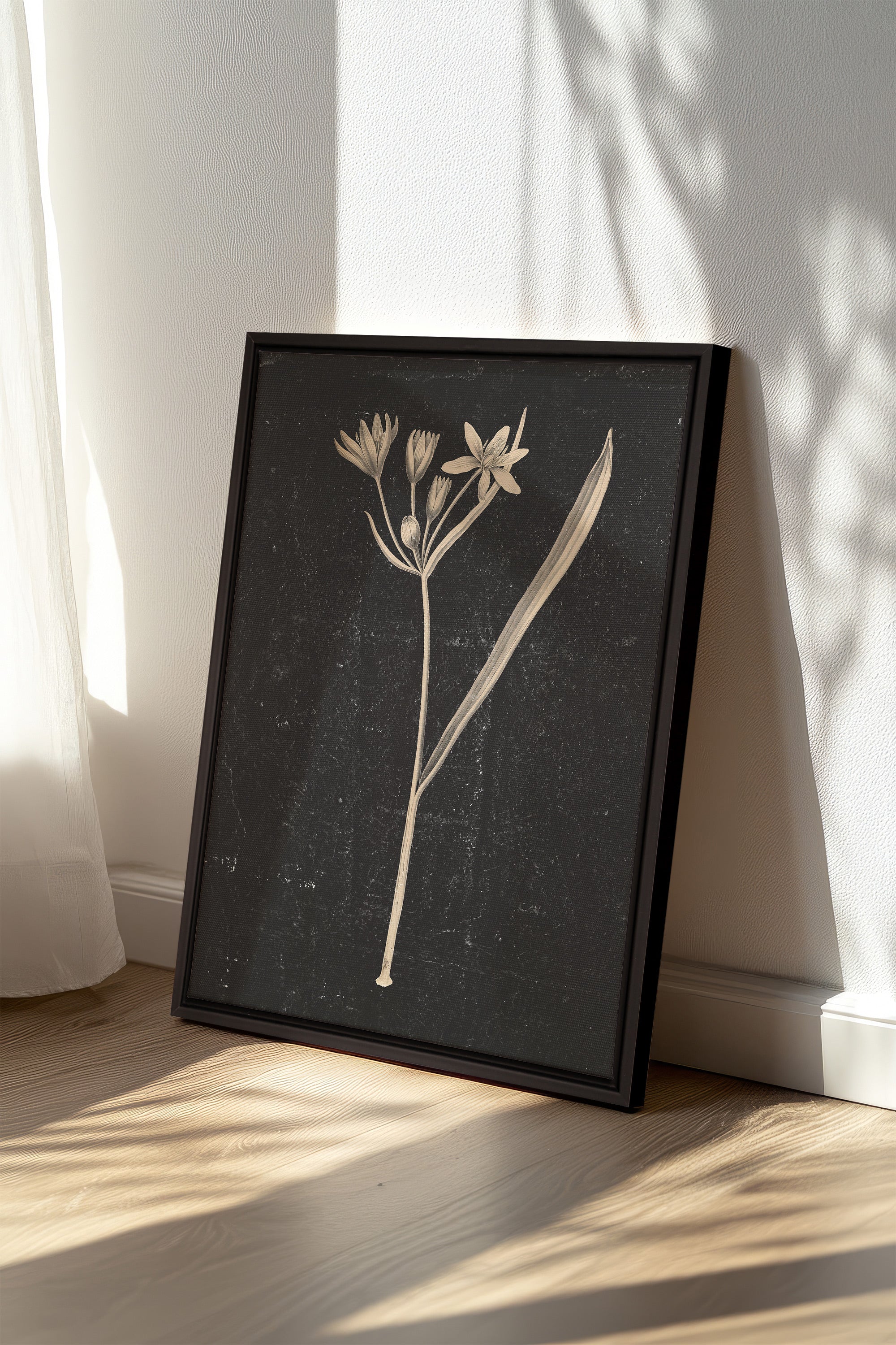 MINIMAL FLORA, Oeuvre sur toile étirée, encadré Noir