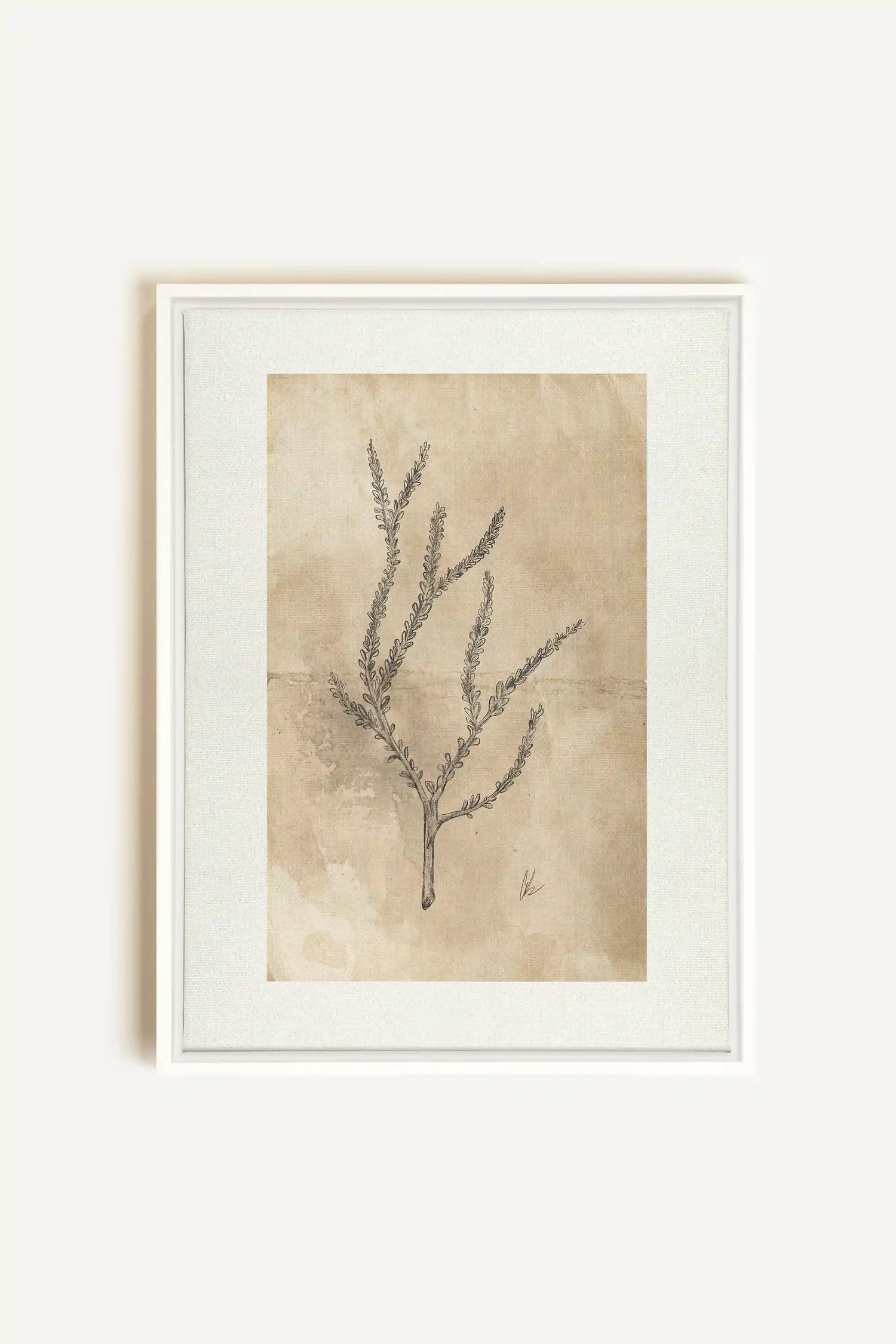 BLOOMING FLOWER I, Artwork on stretched canvas, framed in white