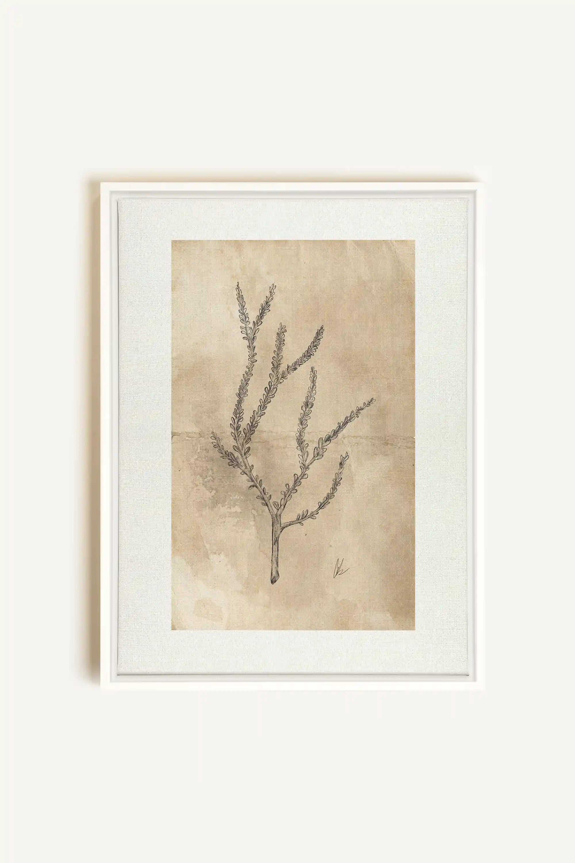 BLOOMING FLOWER I, Artwork on stretched canvas, framed in white
