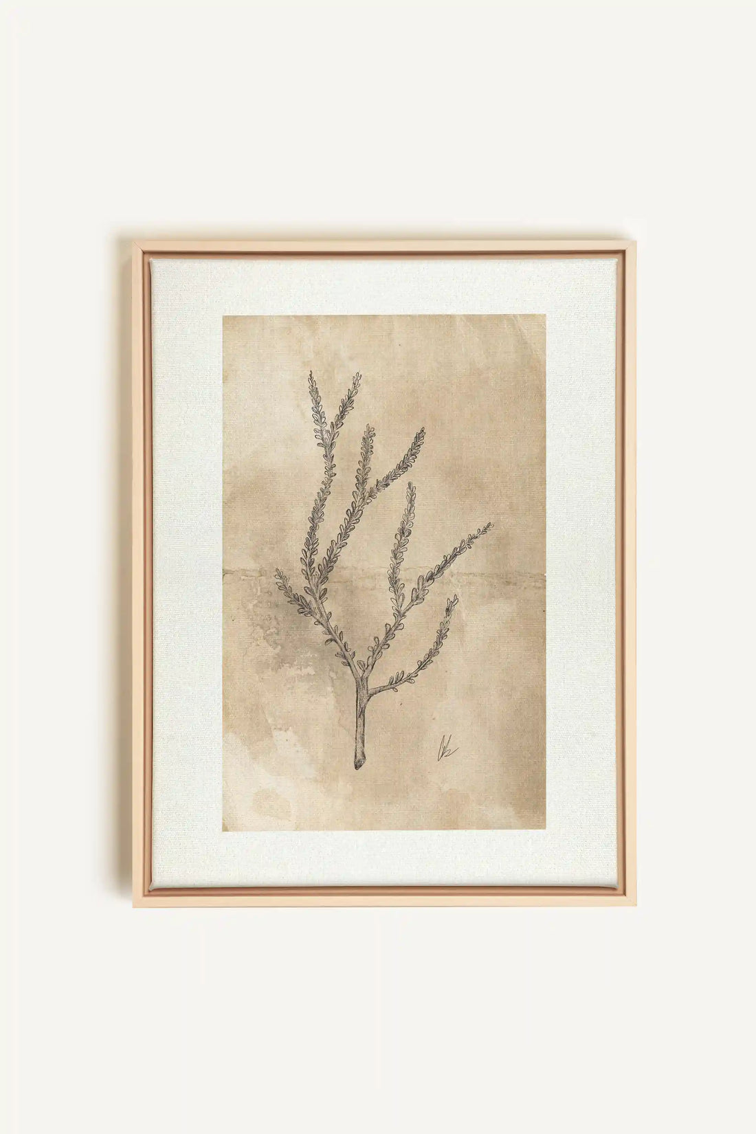 BLOOMING FLOWER I, Artwork on stretched canvas, framed Natural Light