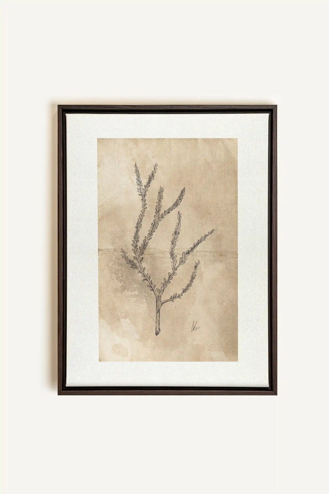 BLOOMING FLOWER I, Oeuvre sur toile étirée, encadré Brun Noyer