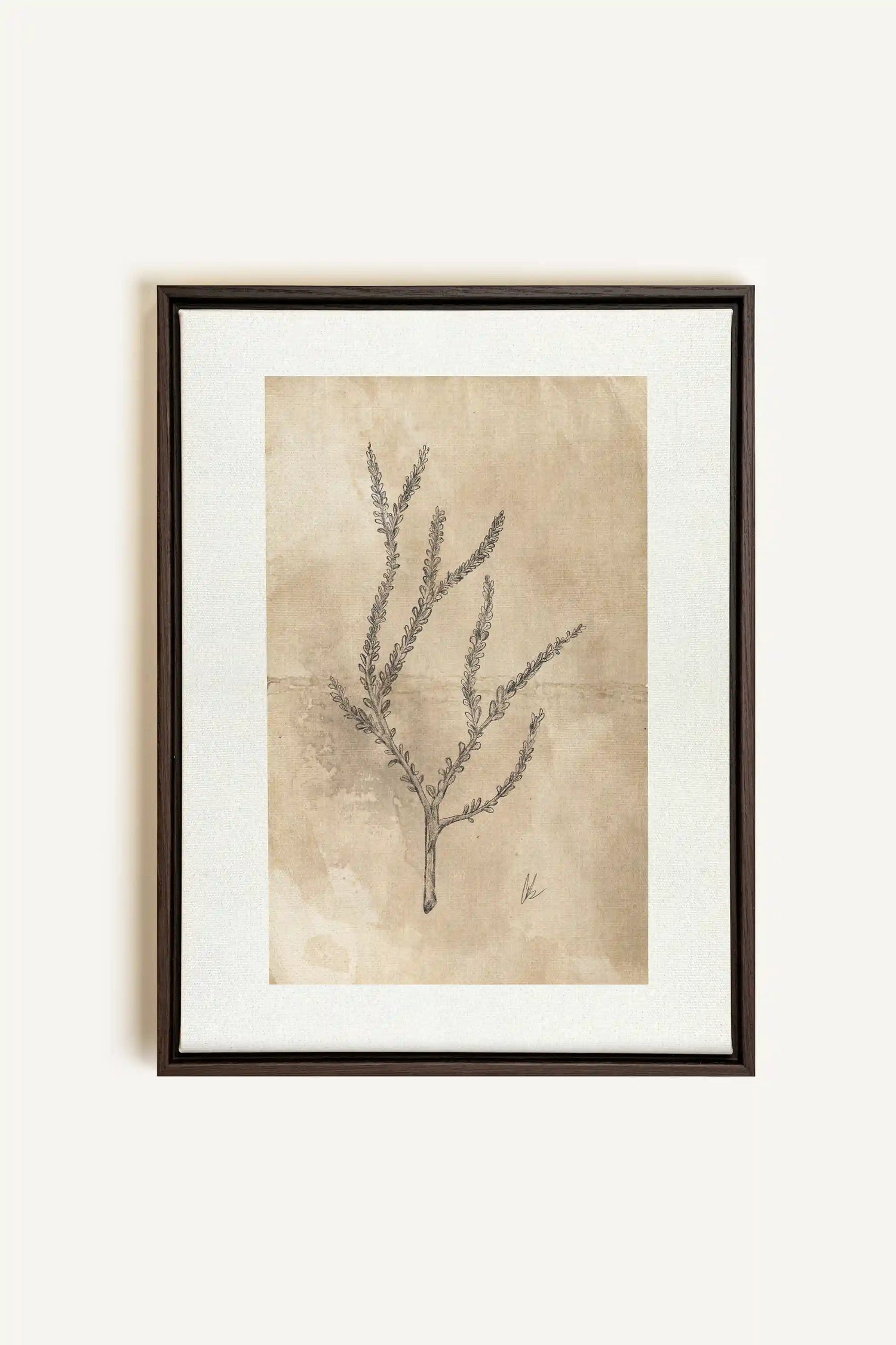 BLOOMING FLOWER I, Oeuvre sur toile étirée, encadré Brun Noyer