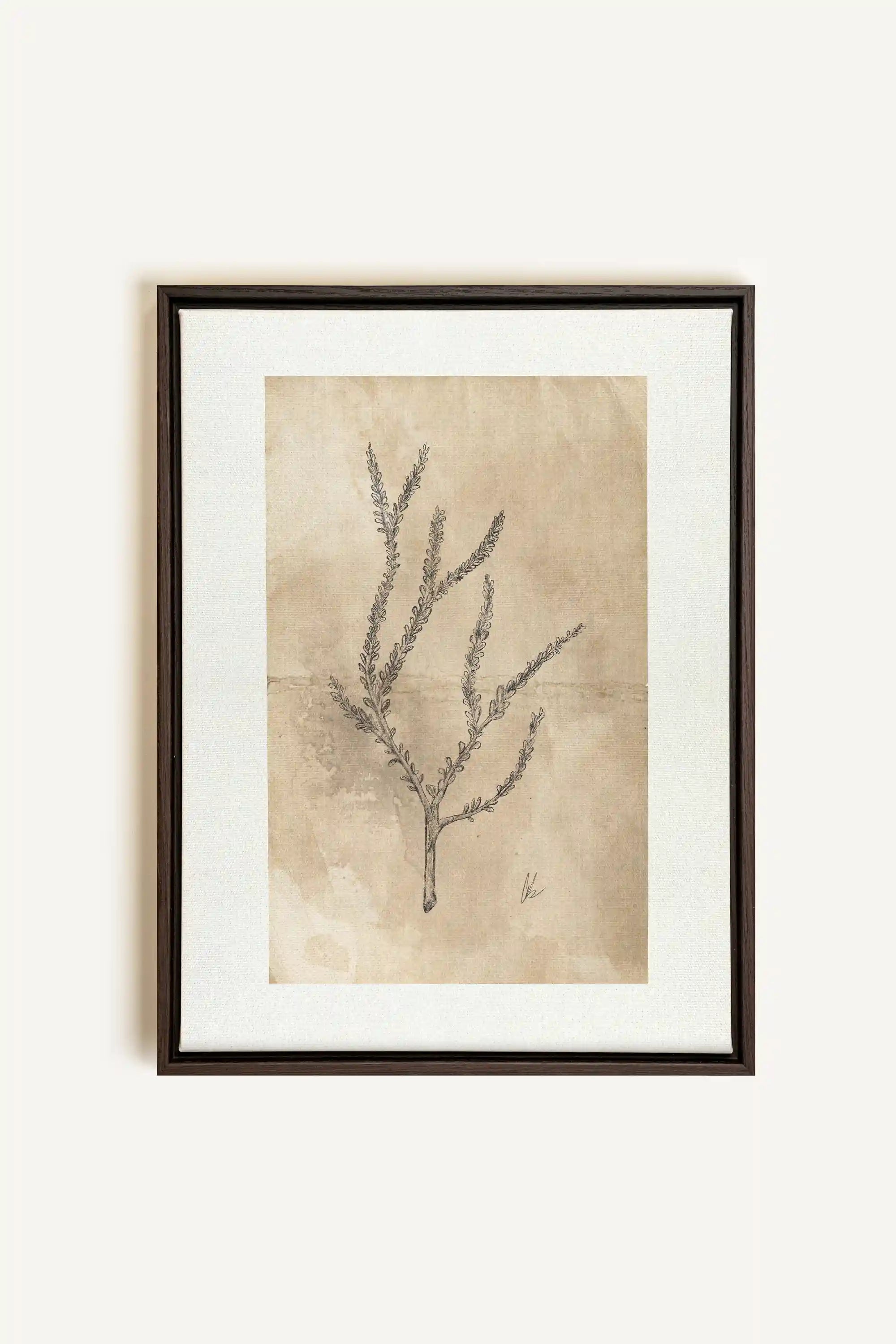BLOOMING FLOWER I, Oeuvre sur toile étirée, encadré Brun Noyer