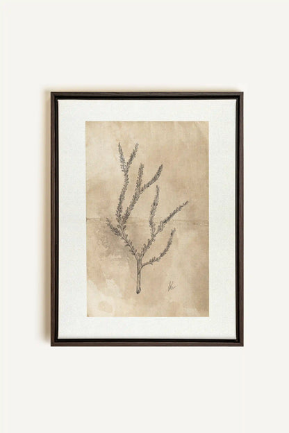 BLOOMING FLOWER I, Oeuvre sur toile étirée, encadré Brun Noyer