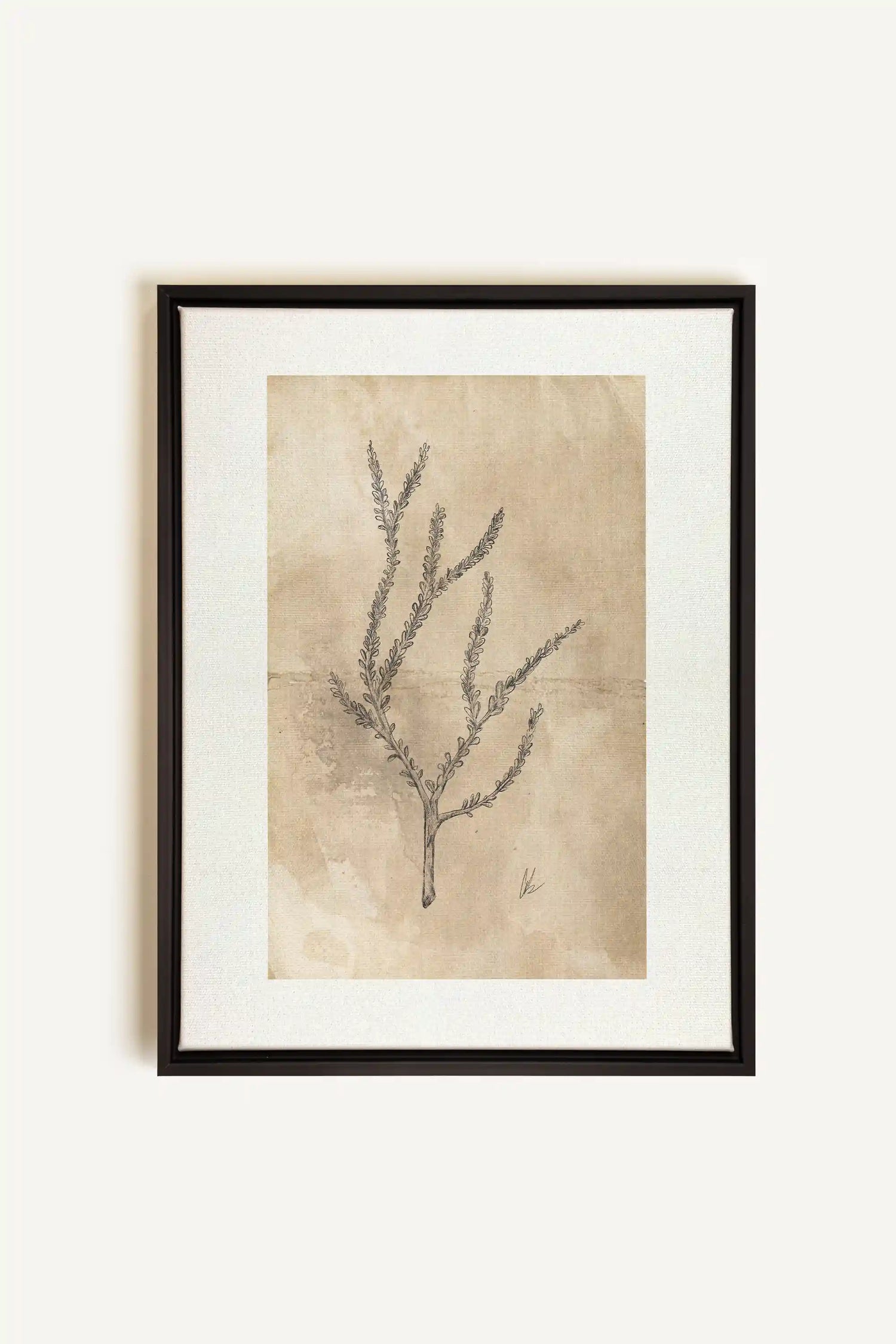 BLOOMING FLOWER I, Artwork on stretched canvas, framed in black