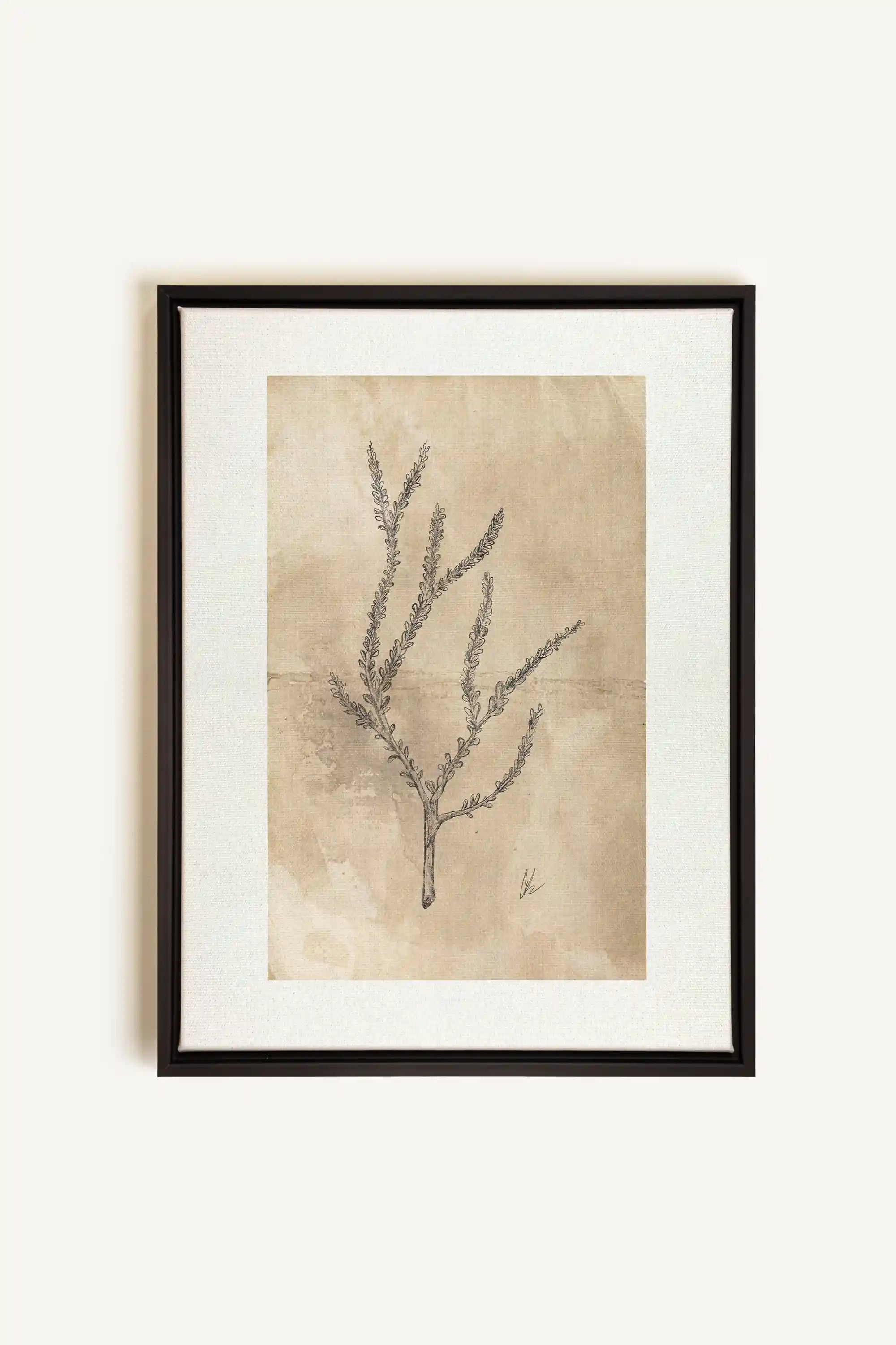 BLOOMING FLOWER I, Artwork on stretched canvas, framed in black