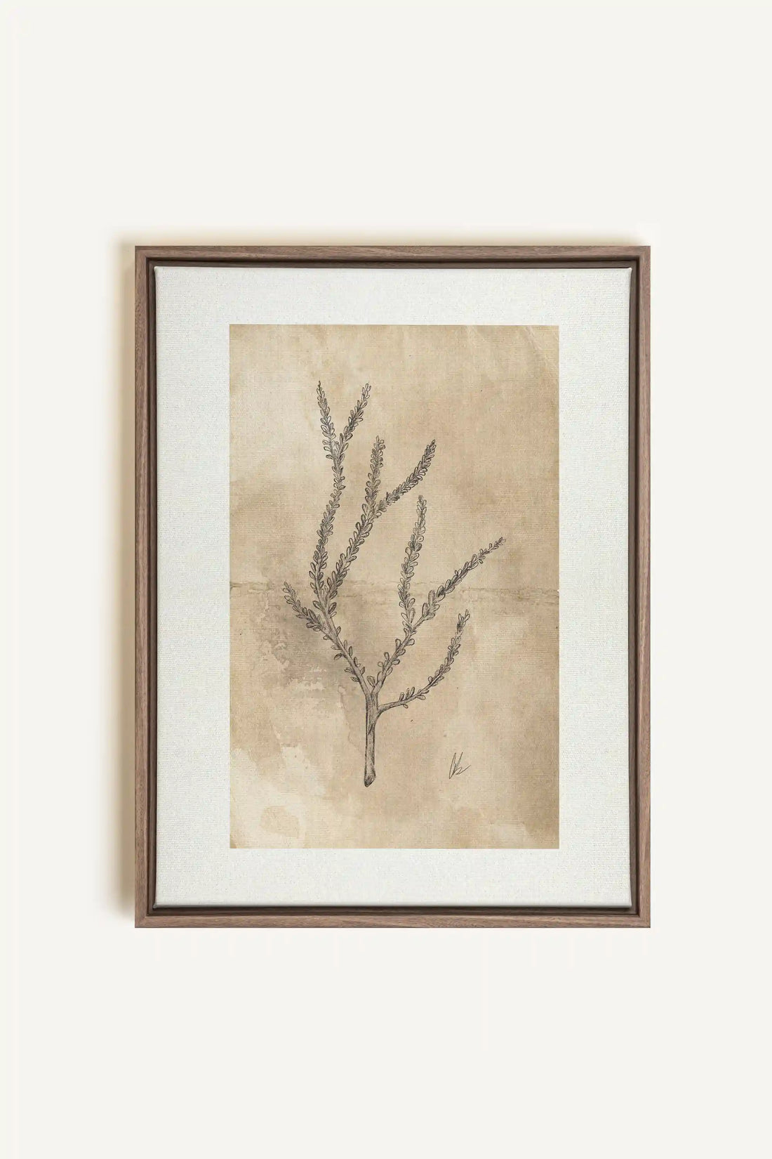 BLOOMING FLOWER I, Oeuvre sur toile étirée, encadré Brun Chêne