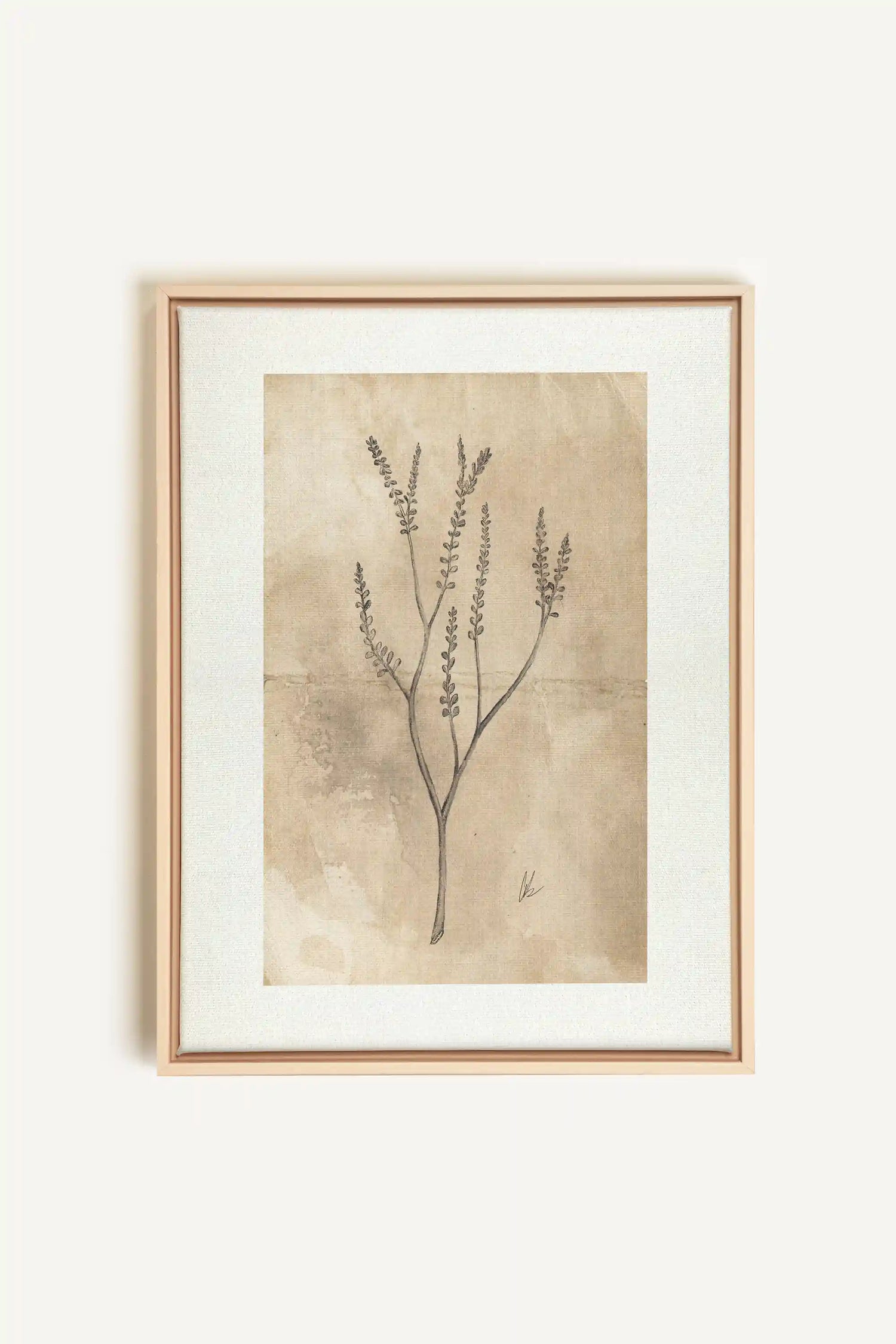 BLOOMING FLOWER II, Oeuvre sur toile étirée, encadré Naturel Clair