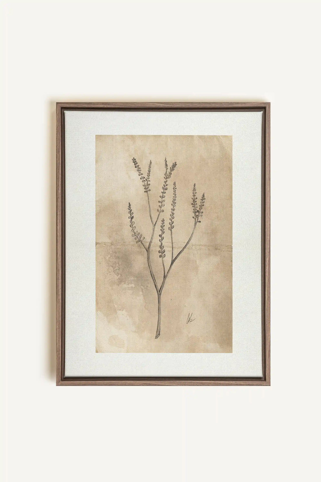 BLOOMING FLOWER II, Oeuvre sur toile étirée, encadré Brun Chêne