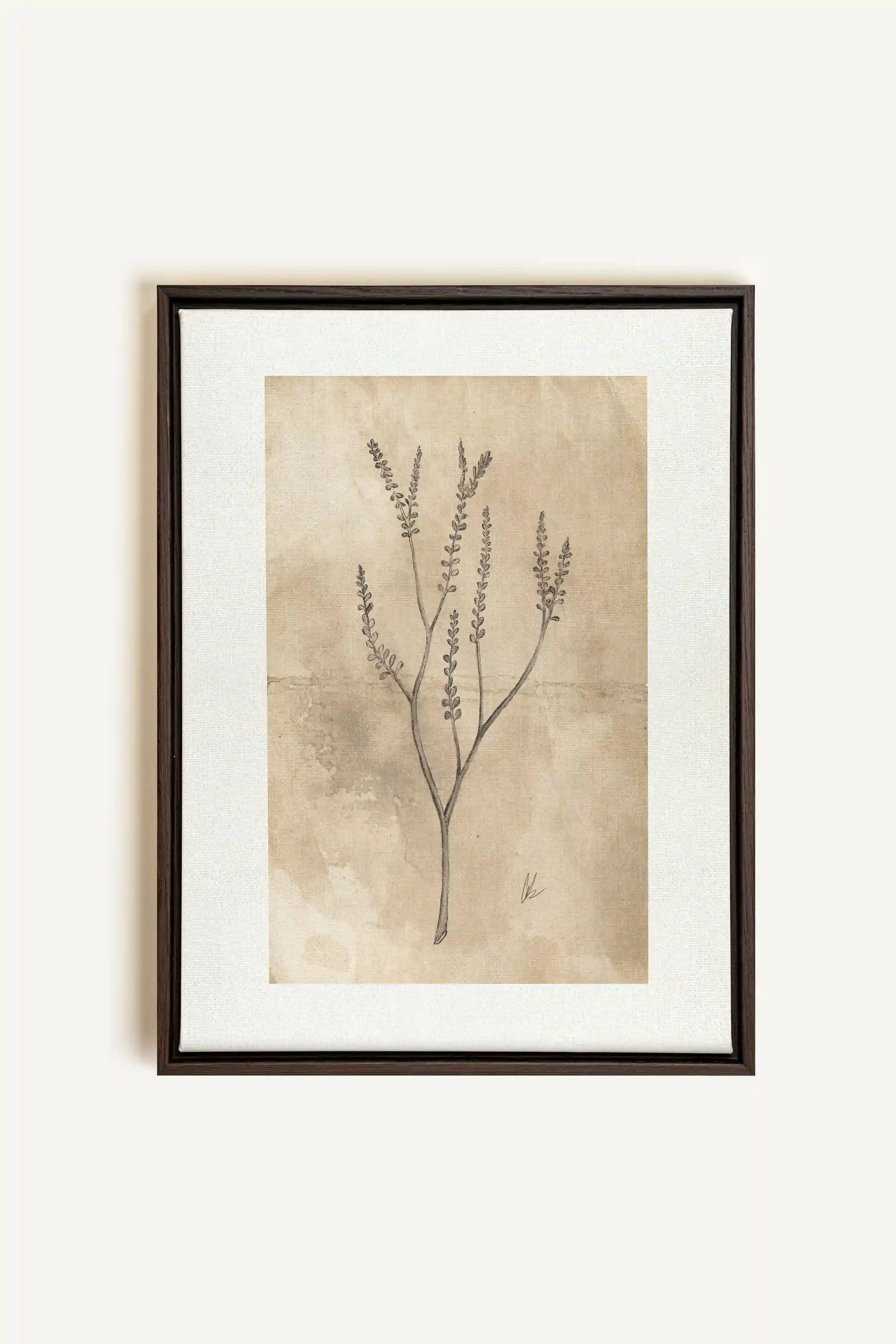 BLOOMING FLOWER II, Oeuvre sur toile étirée, encadré Brun Noyer