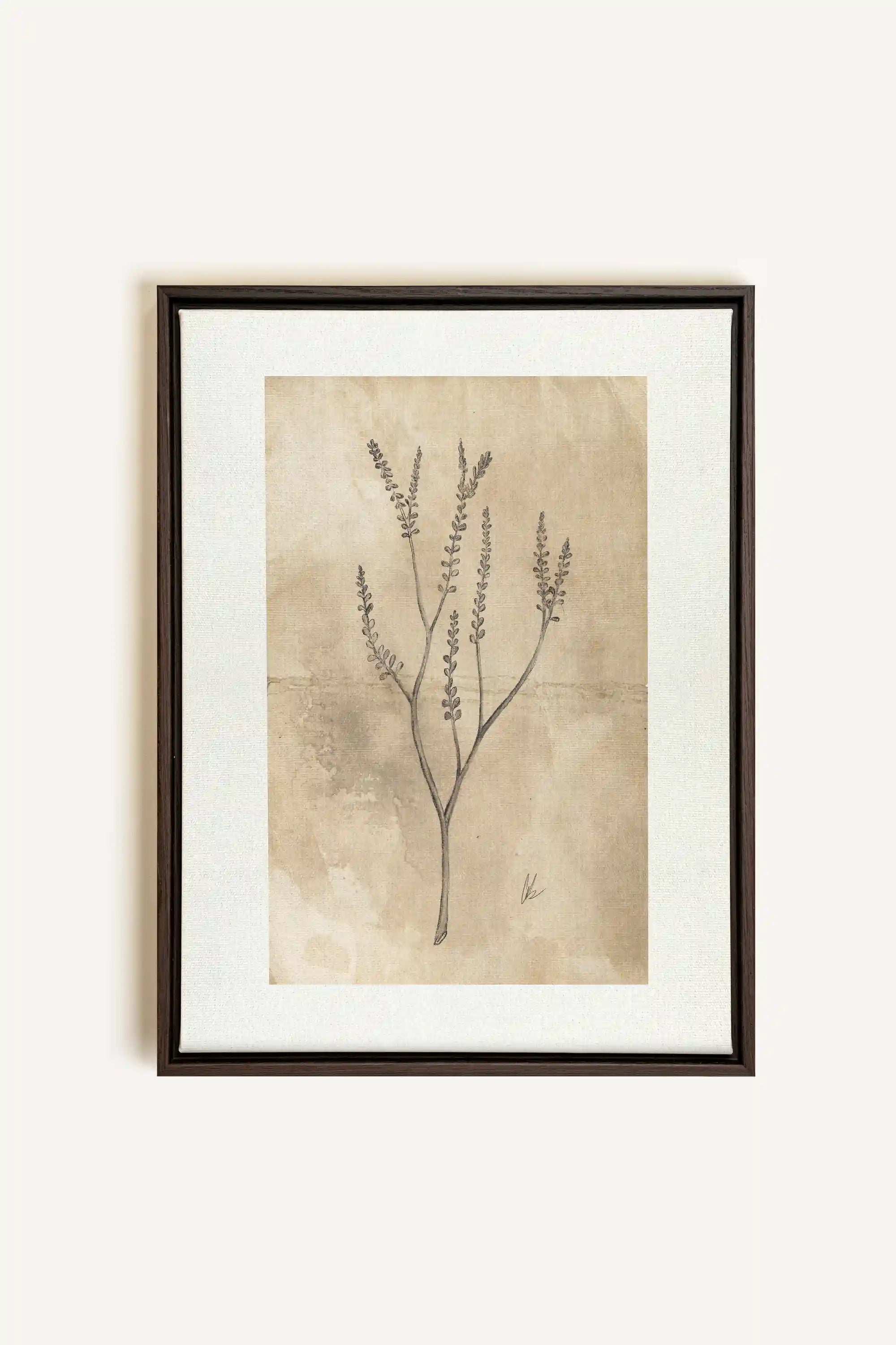 BLOOMING FLOWER II, Oeuvre sur toile étirée, encadré Brun Noyer
