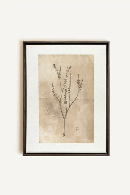 BLOOMING FLOWER II, Oeuvre sur toile étirée, encadré Brun Noyer