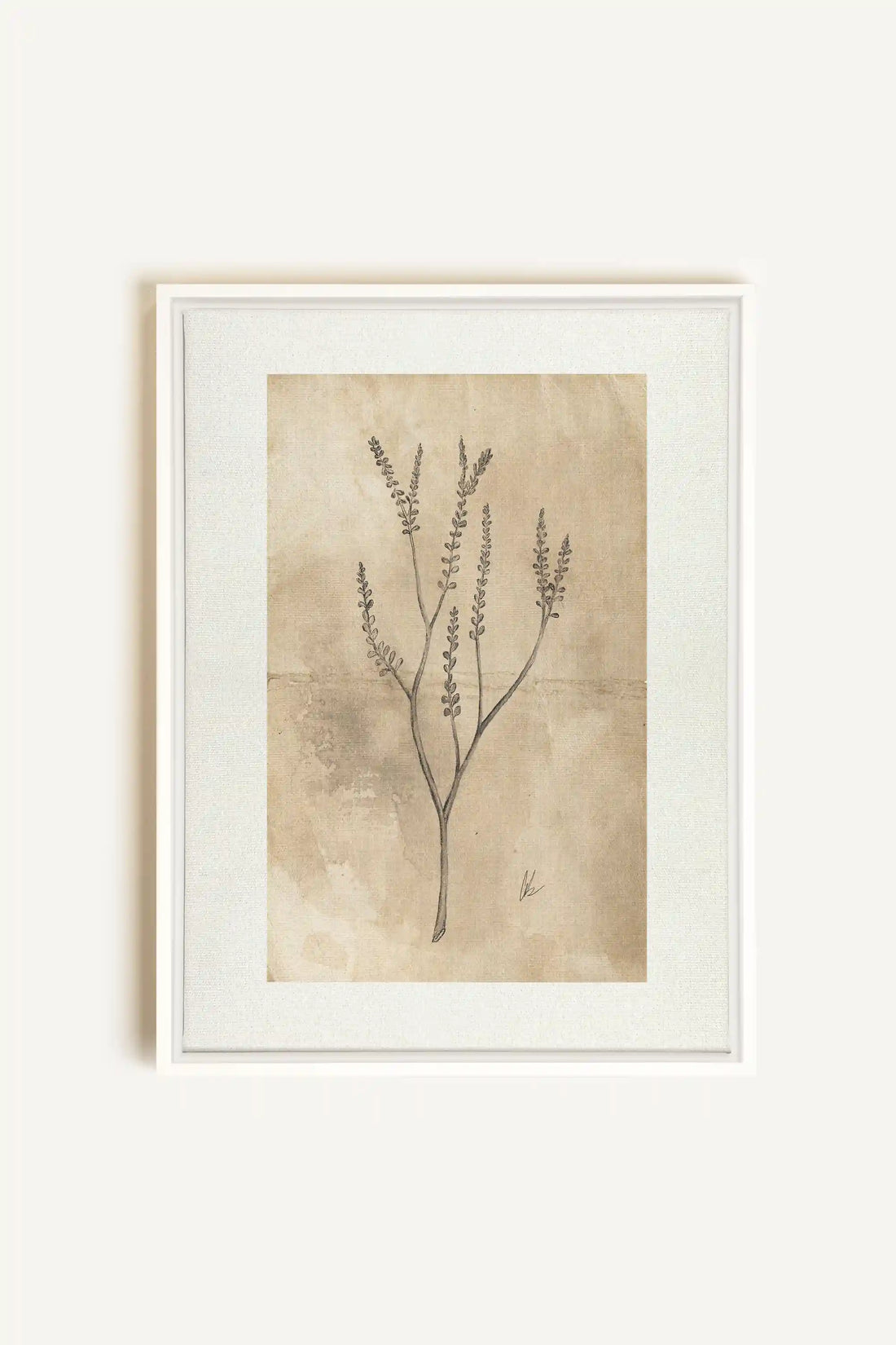 BLOOMING FLOWER II, Oeuvre sur toile étirée, encadré Blanc