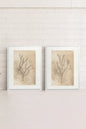 COMBINAISON JADE WILSON (2 Works on stretched canvas)