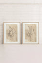 COMBINAISON JADE WILSON (2 Works on stretched canvas)