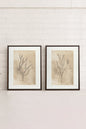 COMBINAISON JADE WILSON (2 Works on stretched canvas)