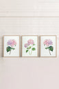BLOSSOMING TRIO (3 works on stretched canvas)