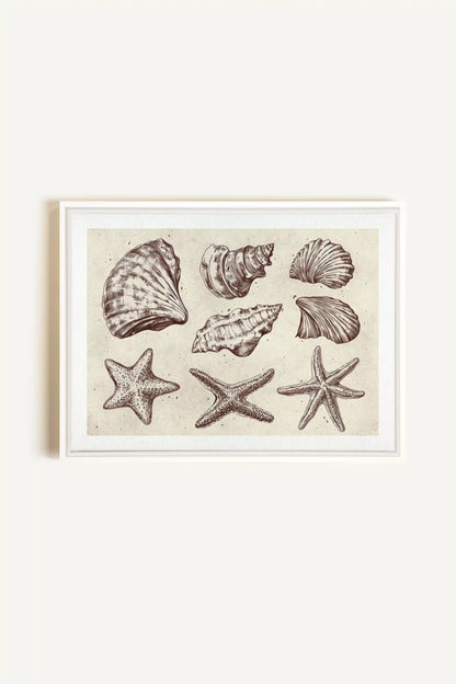 COASTAL COLLECTION, Oeuvre sur toile étirée, encadré Blanc