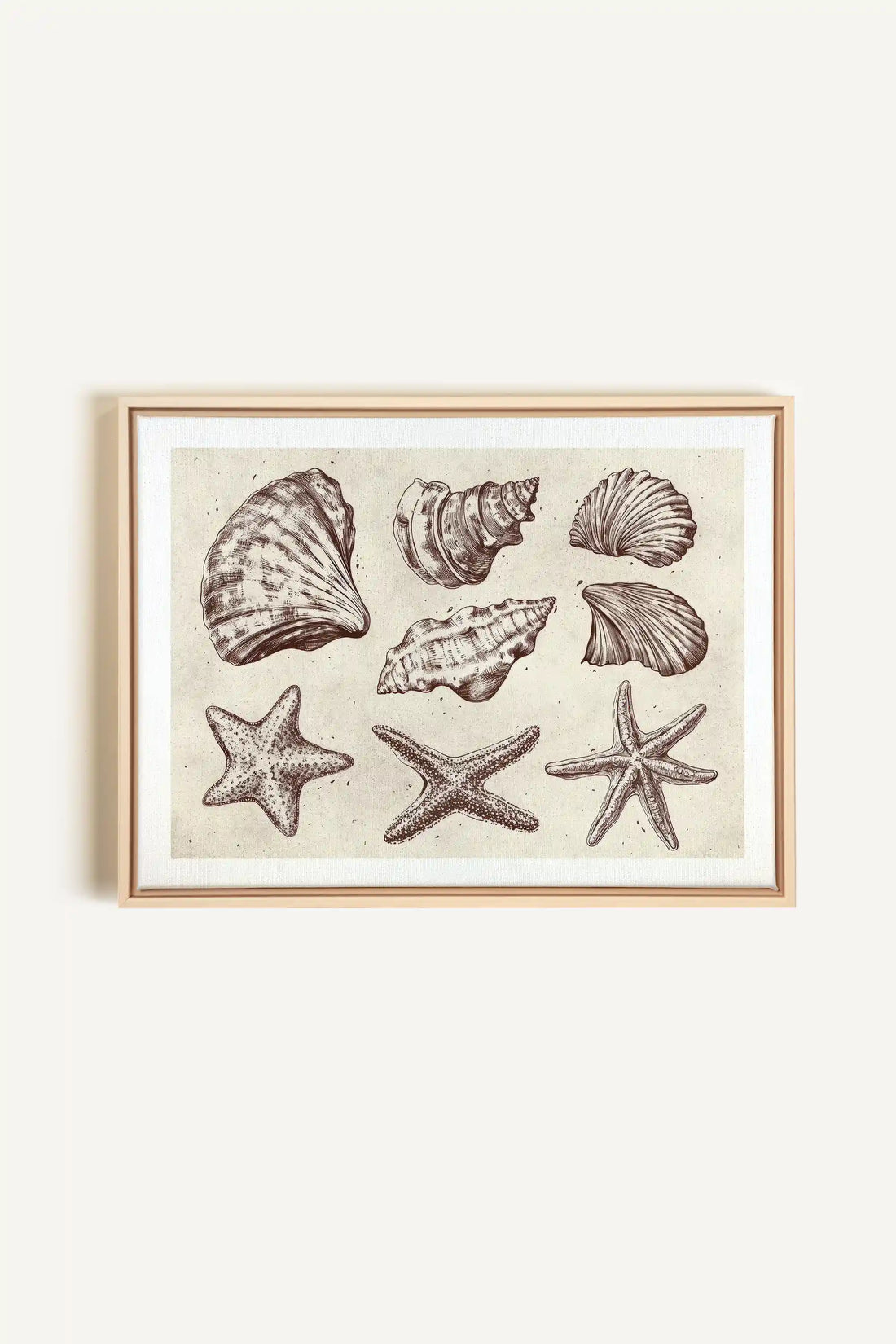 COASTAL COLLECTION, Artwork on stretched canvas, framed Natural Light