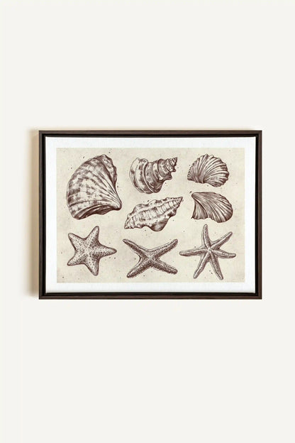 COASTAL COLLECTION, Artwork on stretched canvas, framed in Walnut Brown