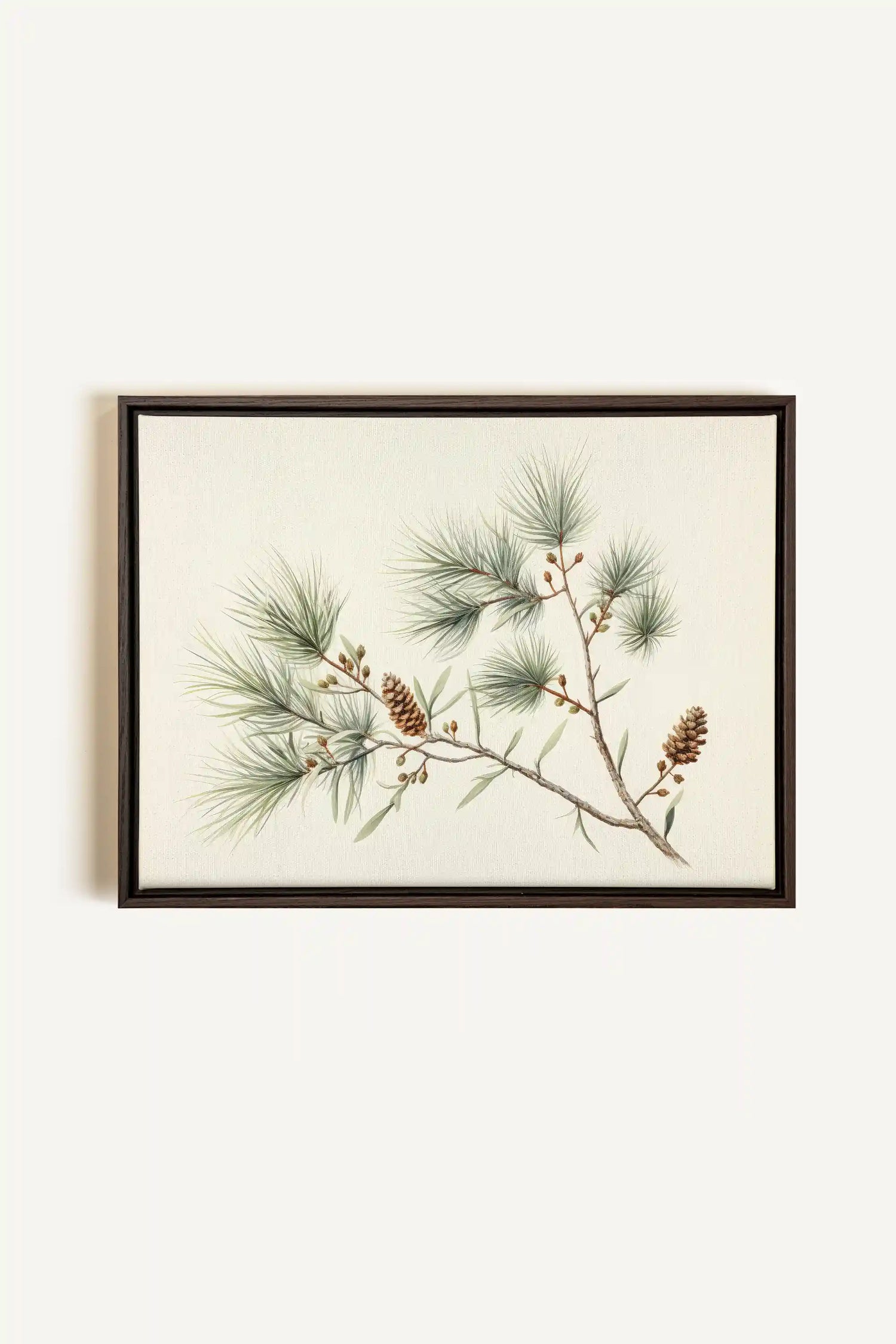 Conifer Branch, Artwork on stretched canvas, framed in Walnut Brown