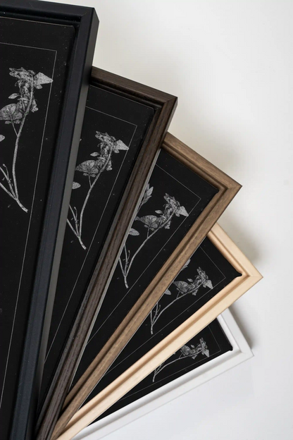 PRESSED MEMORIES, Work on stretched canvas, framed Walnut Brown