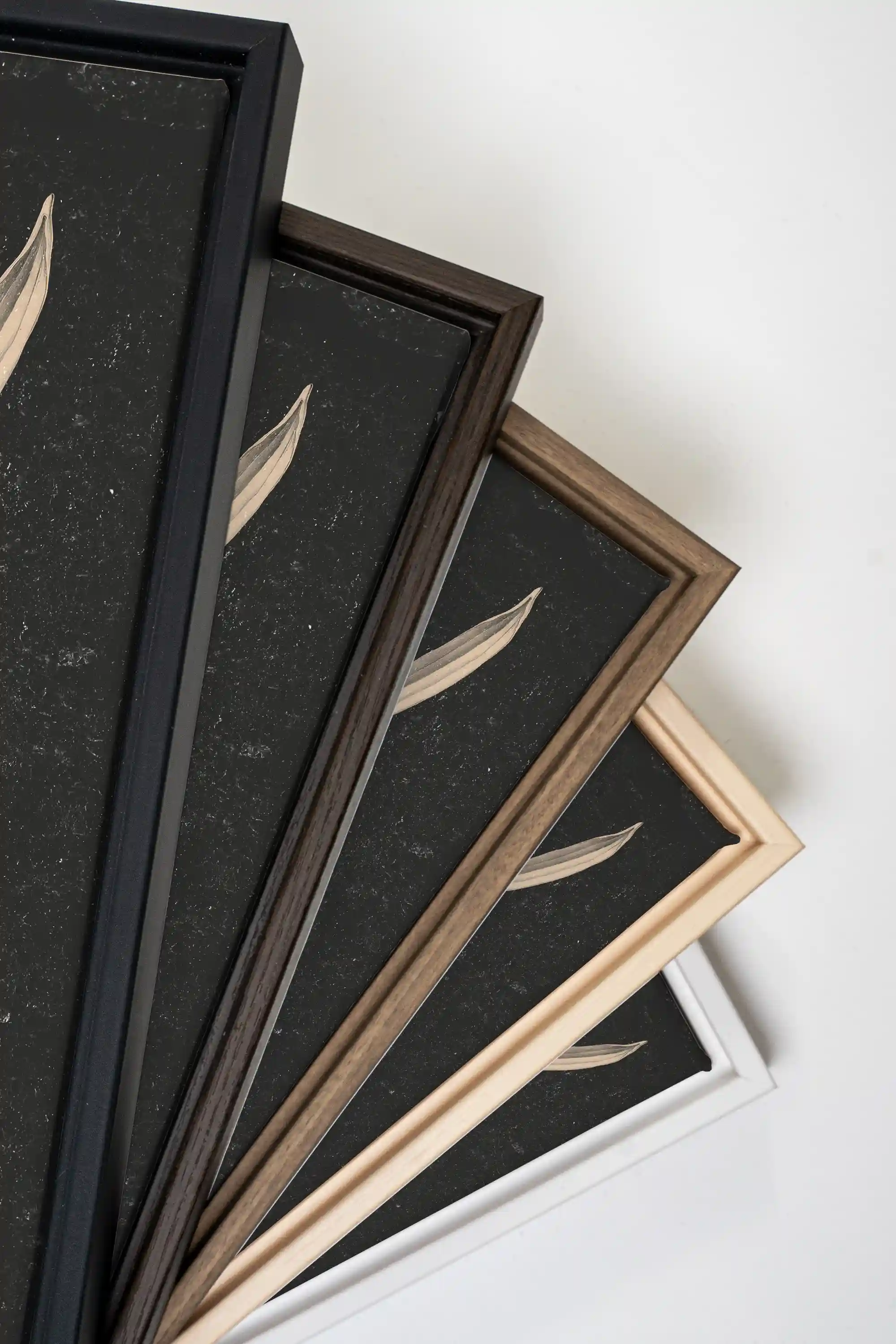 MINIMAL FLORA, Oeuvre sur toile étirée, encadré Noir