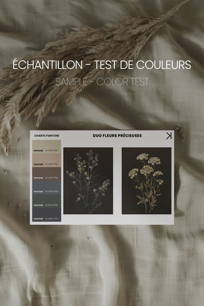 OLEKA CANVAS - DUO FLEURS PRÉCIEUSES, 2 Oeuvres sur toile étirée, encadré Blanc