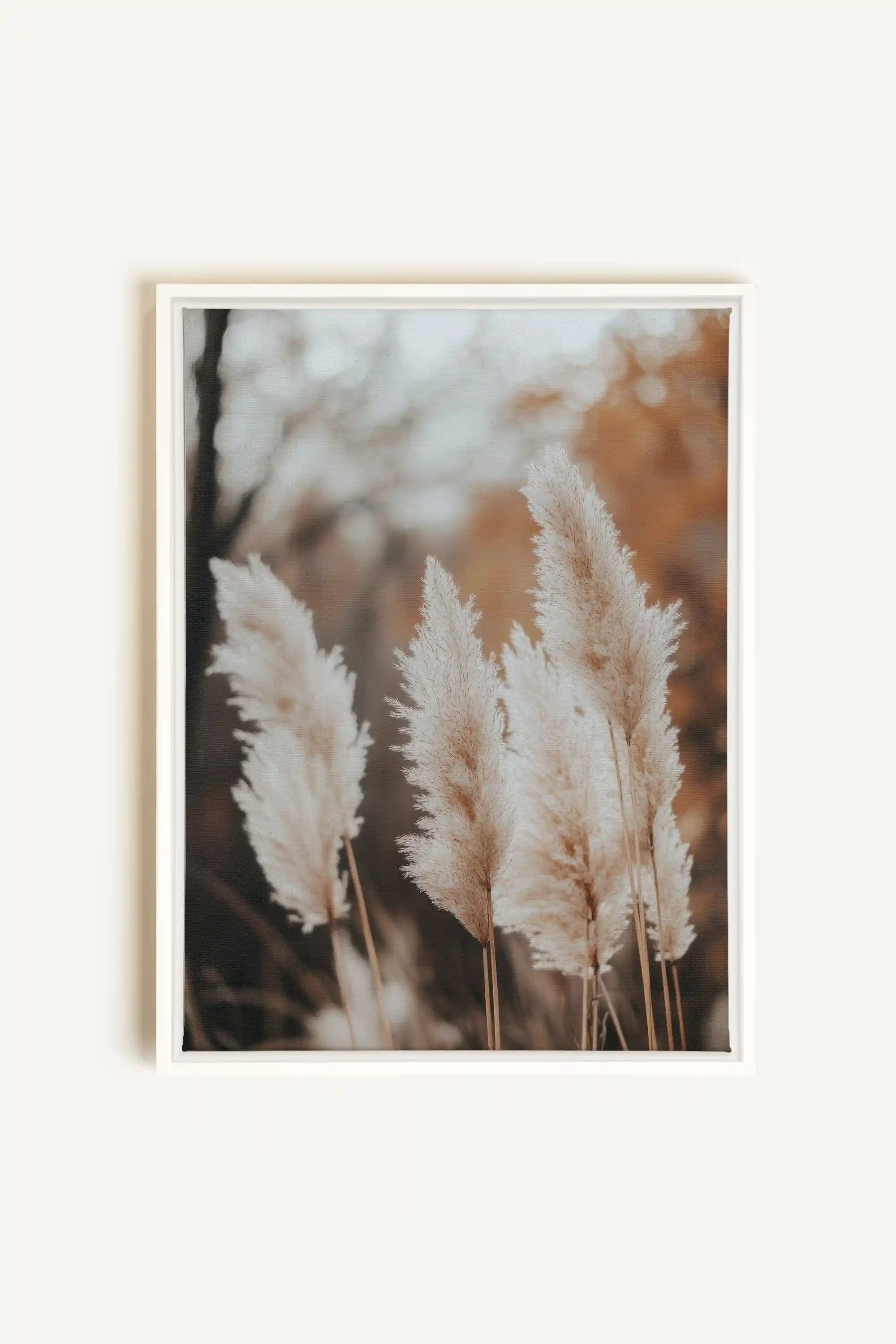 GOLDEN FEATHER, Oeuvre sur toile étirée, encadré Blanc