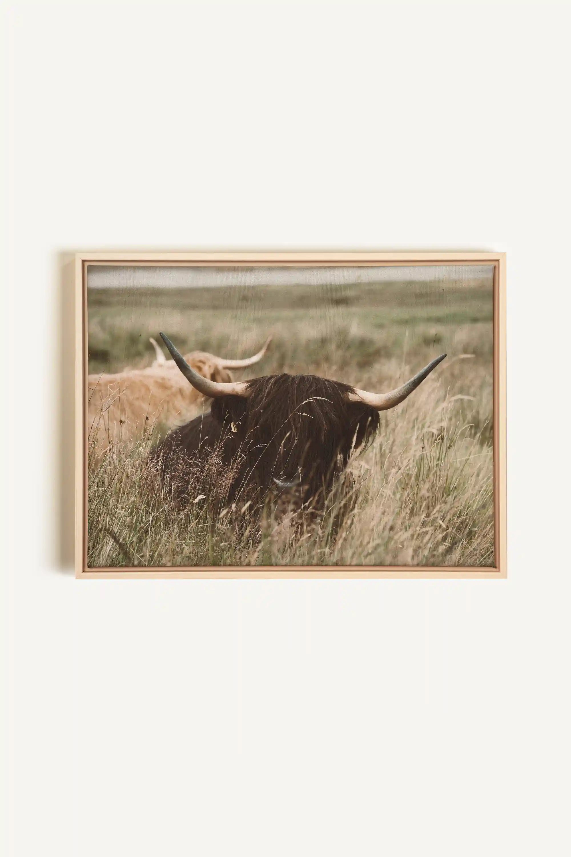 HIGHLAND SPIRIT, Oeuvre sur toile étirée, encadré Naturel Clair