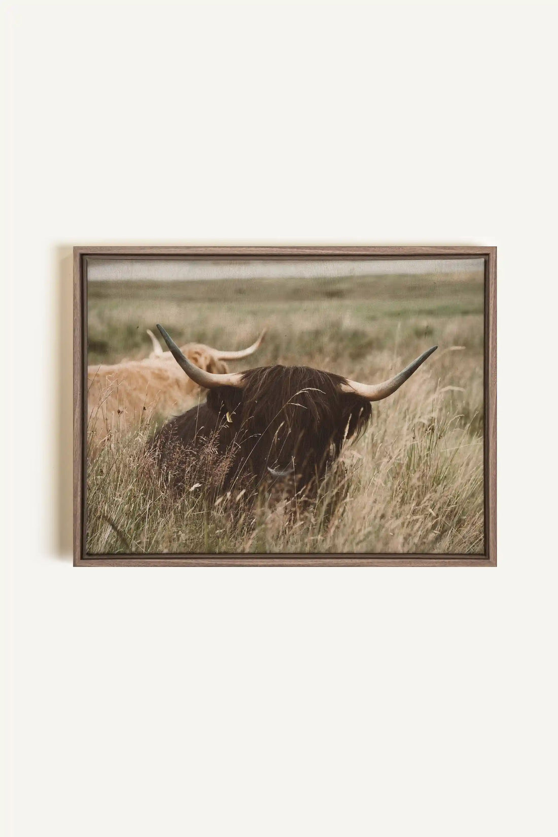 HIGHLAND SPIRIT, Oeuvre sur toile étirée, encadré Brun Chêne