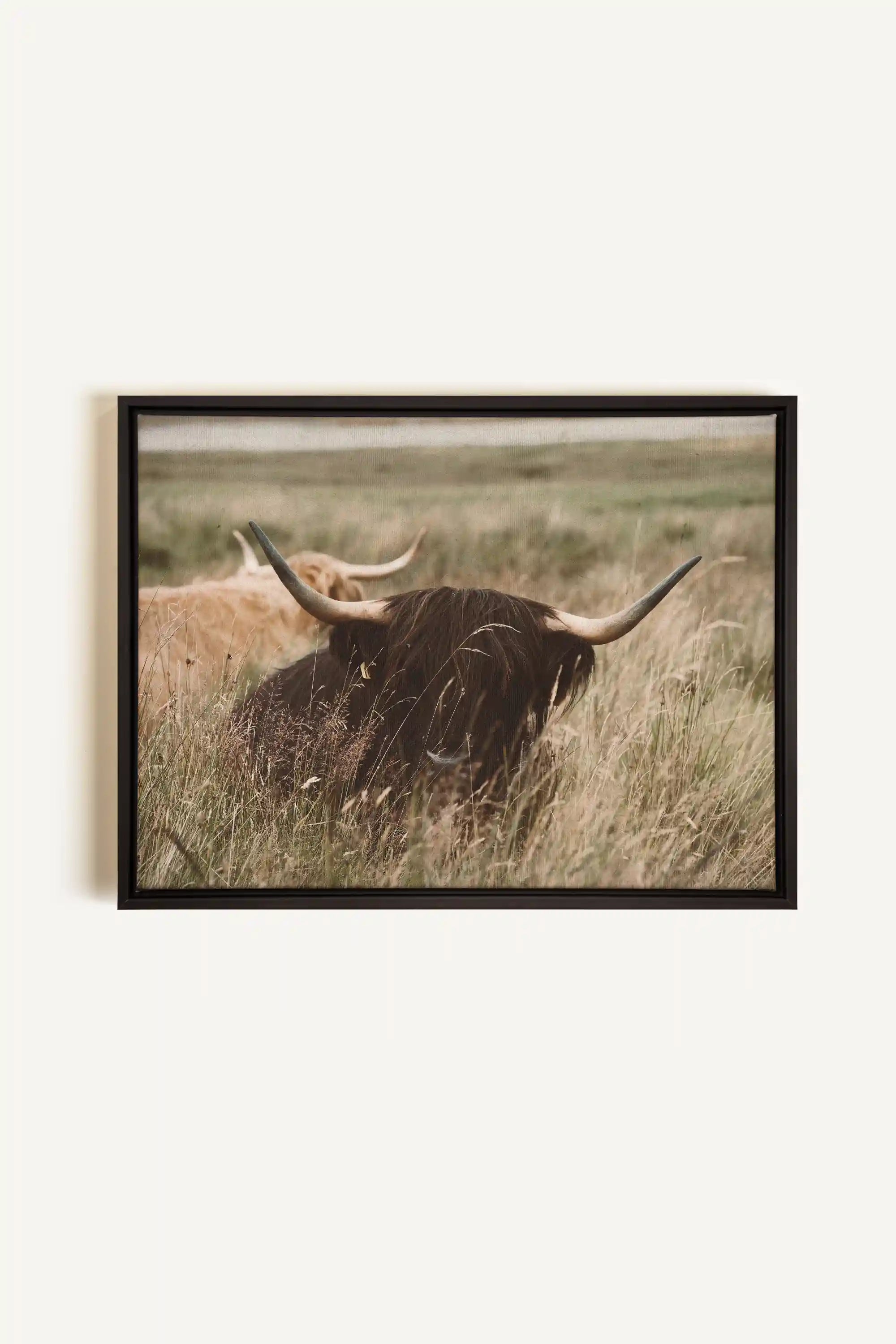 HIGHLAND SPIRIT, Oeuvre sur toile étirée, encadré Noir