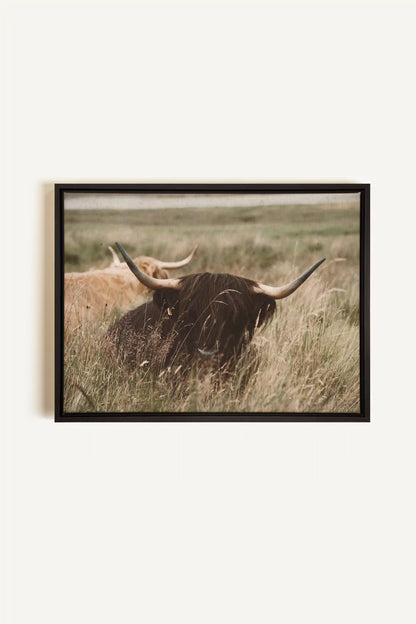HIGHLAND SPIRIT, Oeuvre sur toile étirée, encadré Noir