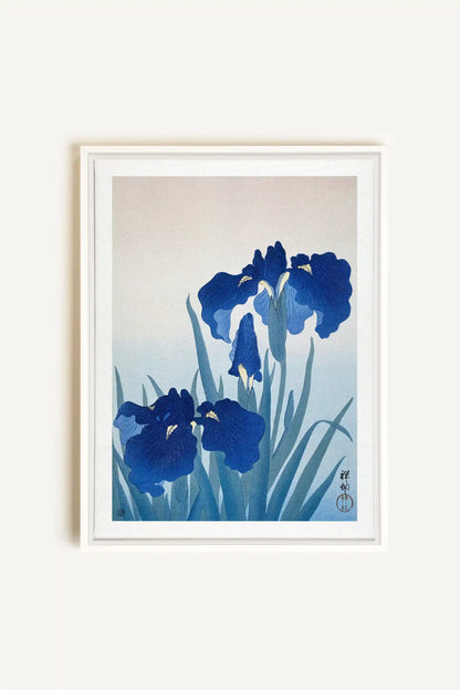 IRIS FLOWERS, Oeuvre sur toile étirée, encadré Blanc