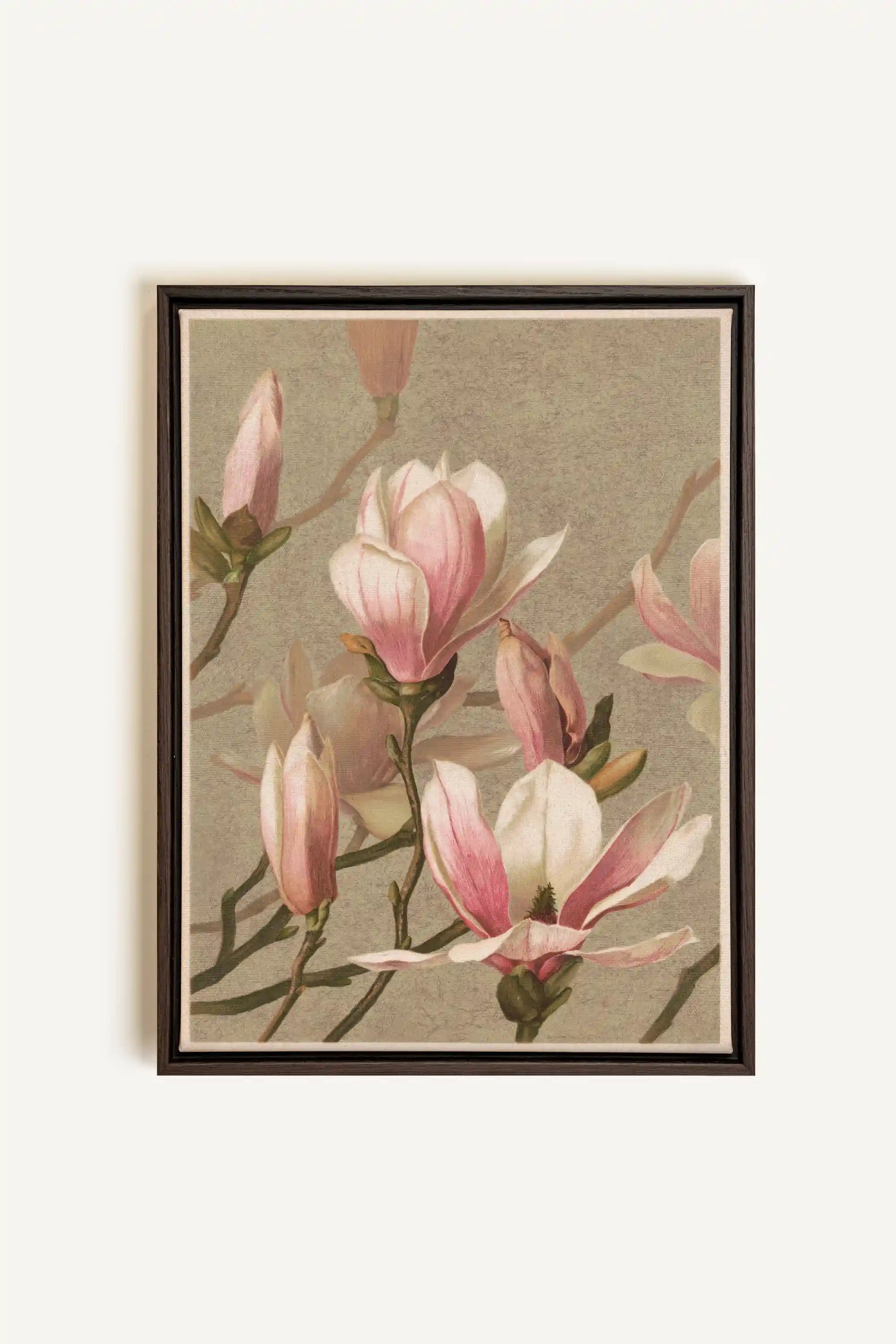 MAGNOLIA WHISPER, Artwork on stretched canvas, framed in Walnut Brown