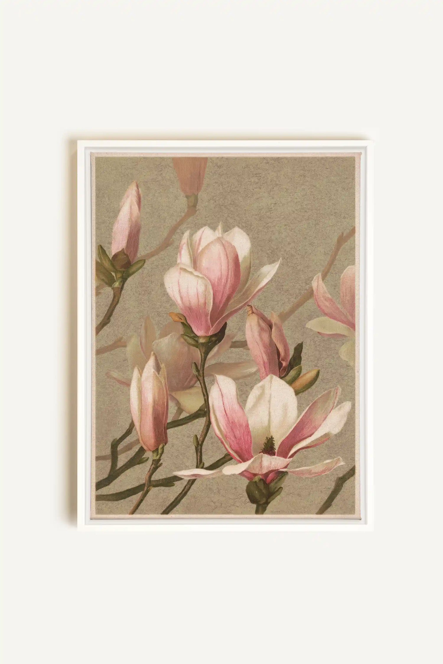 MAGNOLIA WHISPER, Artwork on stretched canvas, framed in white
