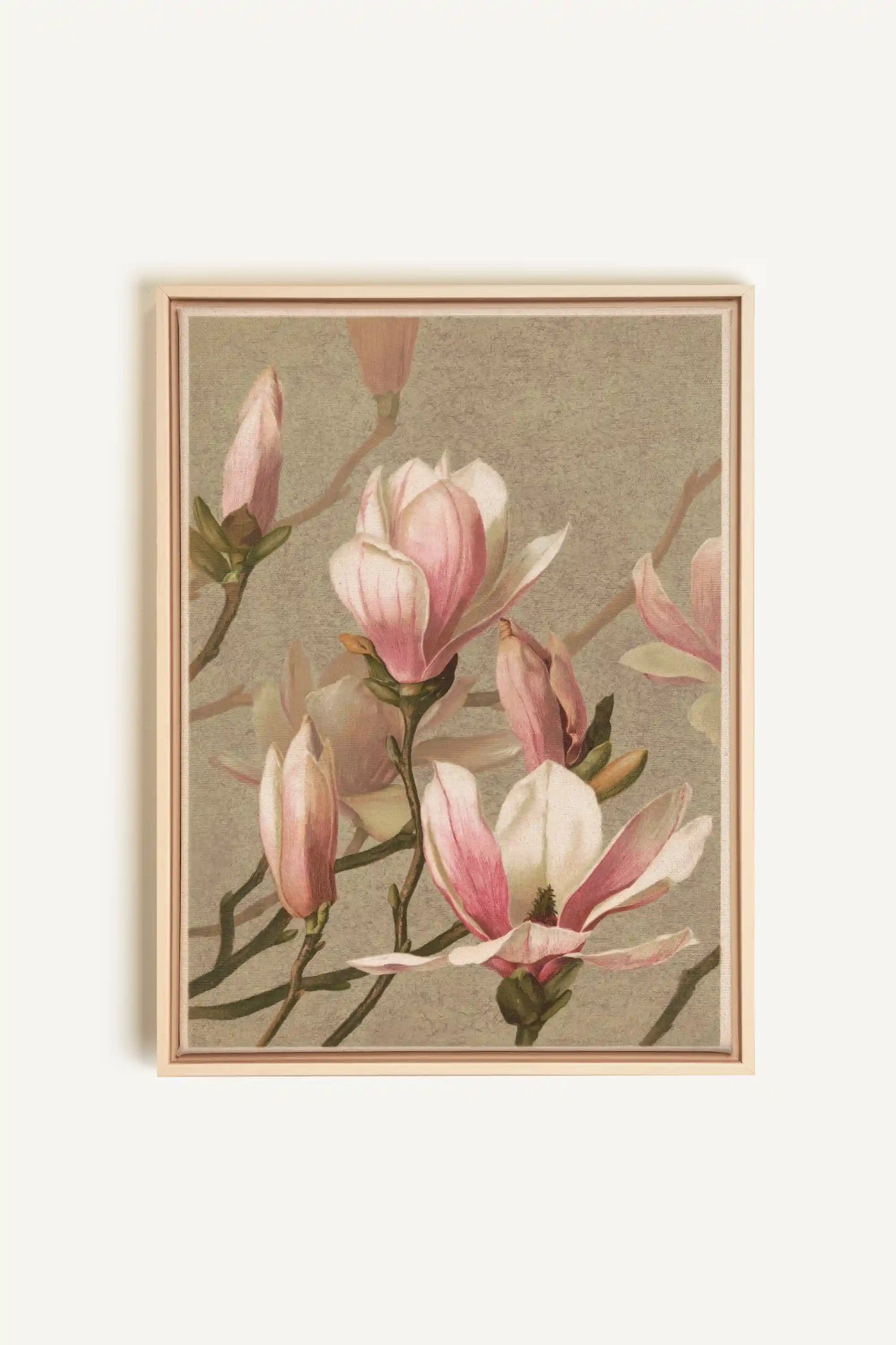 MAGNOLIA WHISPER, Oeuvre sur toile étirée, encadré Naturel Clair