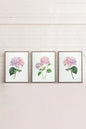 BLOSSOMING TRIO (3 works on stretched canvas)