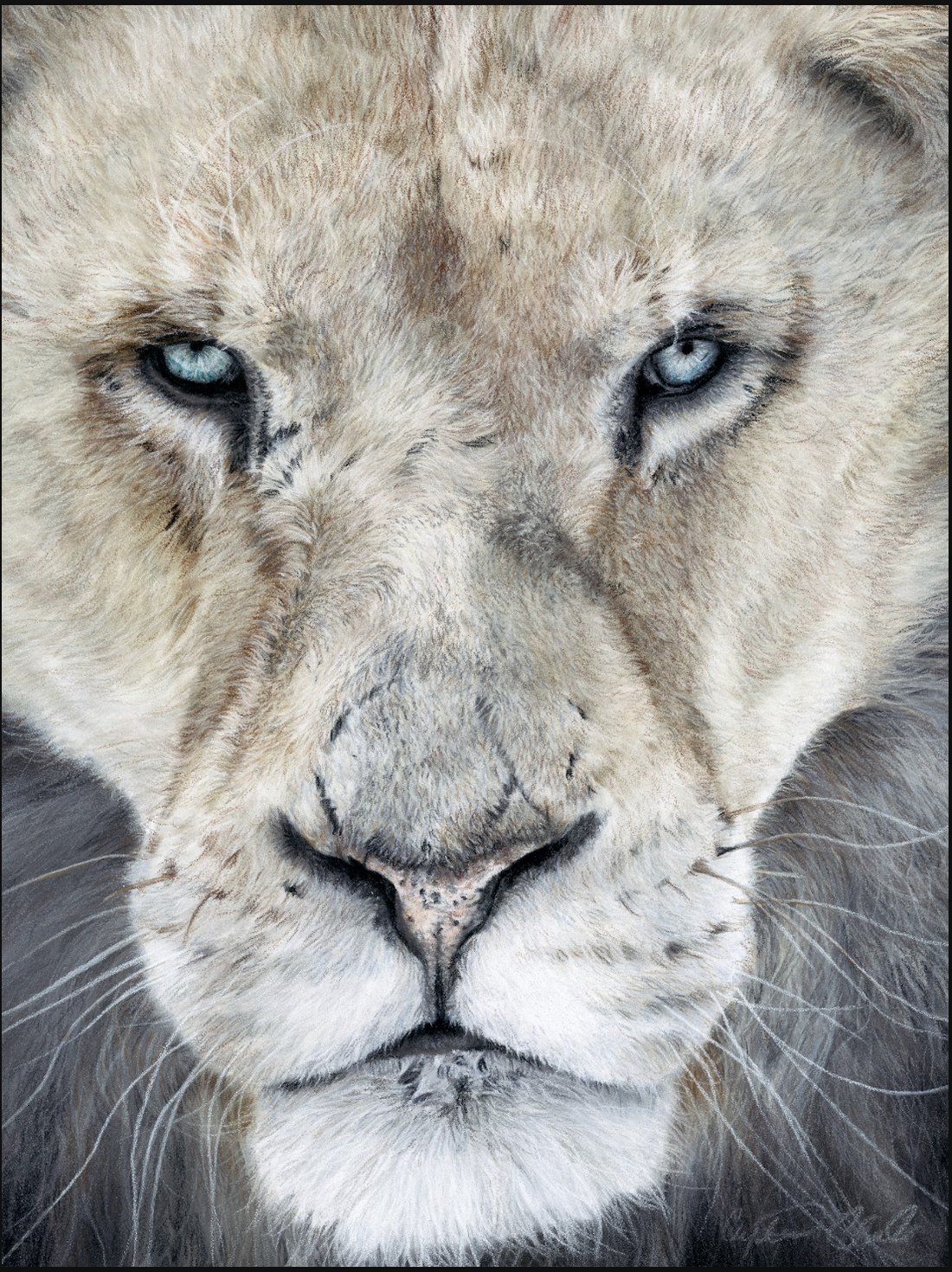 PL-116, stretched canvas