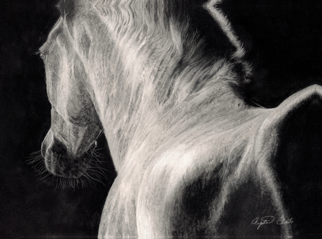 PL-116, stretched canvas