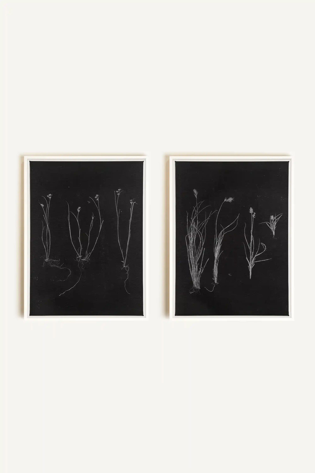 DUO ORIGINES SAUVAGES, 2 Oeuvres sur toile étirée, encadré Blanc