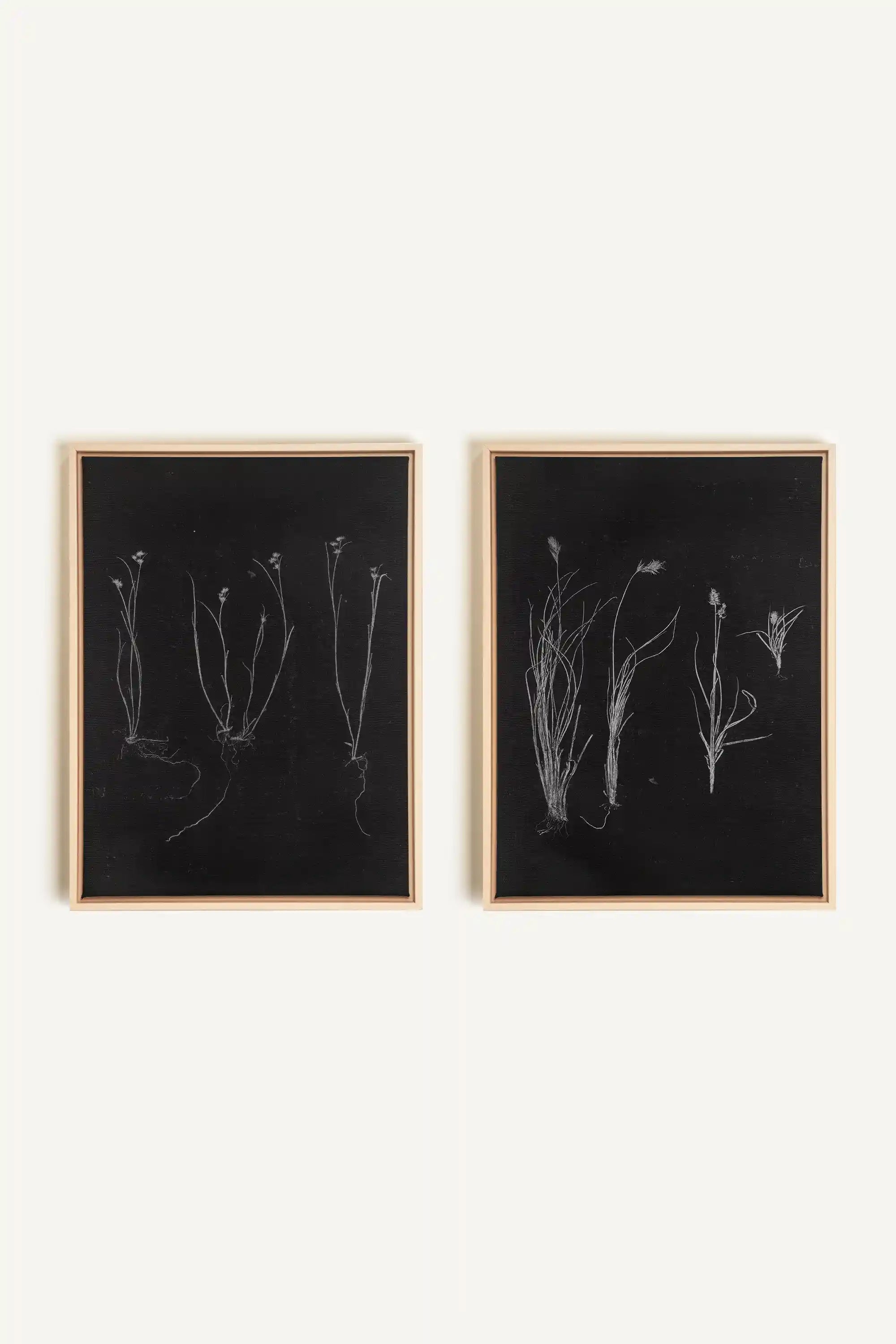 DUO ORIGINES SAUVAGES, 2 Oeuvres sur toile étirée, encadré Naturel Clair
