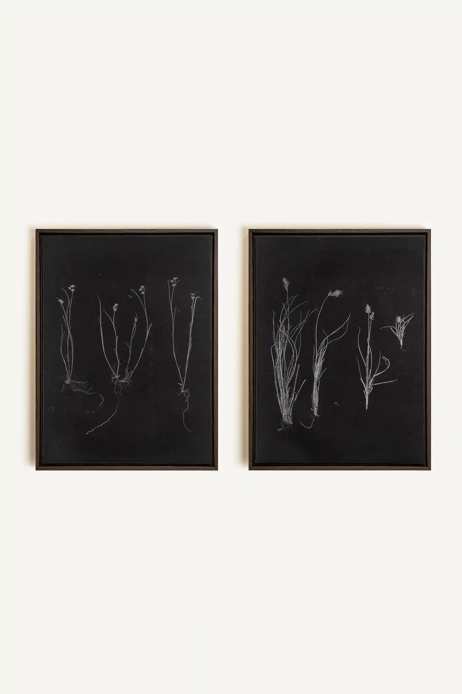 DUO ORIGINES SAUVAGES, 2 Oeuvres sur toile étirée, encadré Brun Noyer