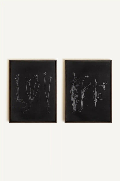 DUO ORIGINES SAUVAGES, 2 Oeuvres sur toile étirée, encadré Brun Noyer