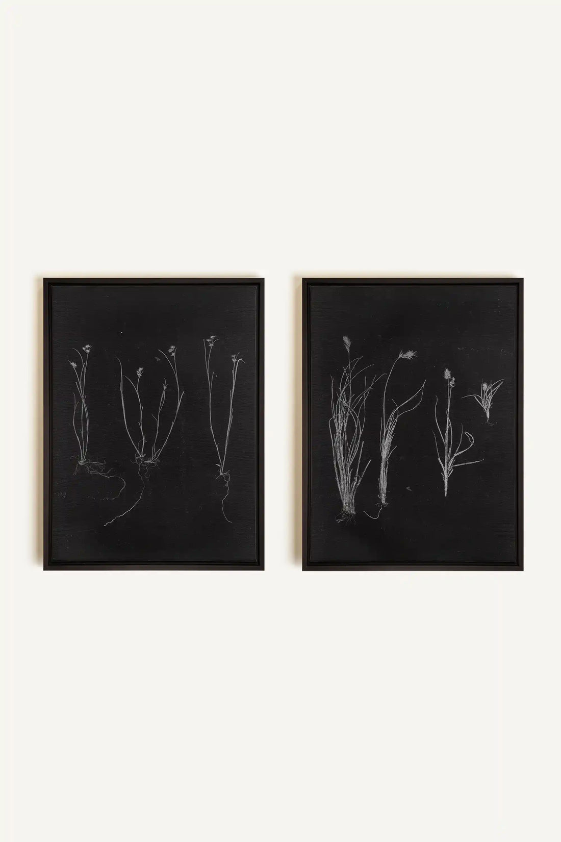 DUO ORIGINES SAUVAGES, 2 Oeuvres sur toile étirée, encadré Noir