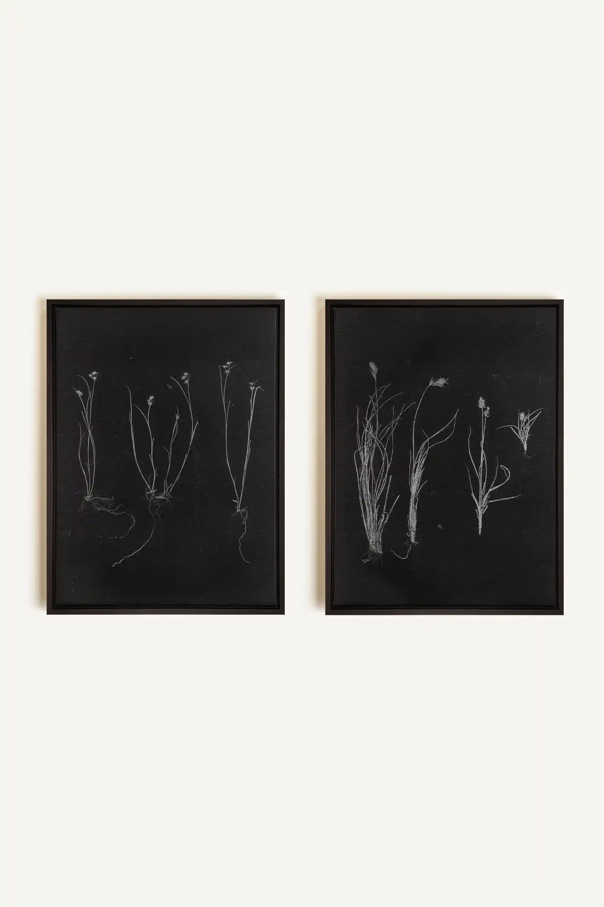 DUO ORIGINES SAUVAGES, 2 Oeuvres sur toile étirée, encadré Noir