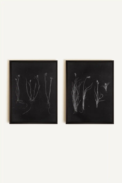 DUO ORIGINES SAUVAGES, 2 Oeuvres sur toile étirée, encadré Noir