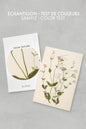 WILD FLOWERS, printed canvas